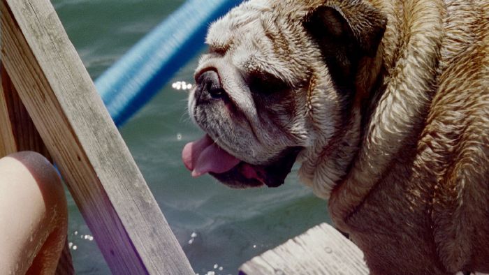 I swim like a Rock.