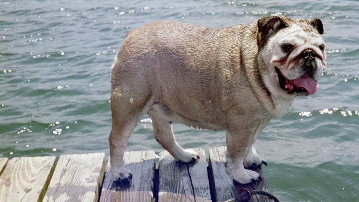 Do I look thinner wet?