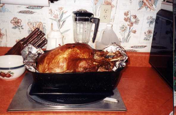 Is a turkey done?